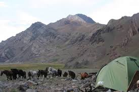 A weak camel can get hurt easily, especially if it is not accustomed to bearing so much weight. Freedom Ride Central Chile It Chrt05 Url Https Www Hiddentrails Com Tour Chile Andes Extreme Crossing Ride Aspx Introduction Central Chile The Legendary Crossing Of The Andes Through The Route Taken By San Martin In 1817 While The Roar Of