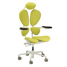 Eurotech Seating Chakra Modern Computer Chair Adjustable Durable Comfortable Home Office Bright Lime Green Office Chair Green Chair Modern Office Chair