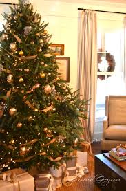 Attēlu rezultāti vaicājumam “christmas tree in the house”