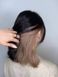 45 Korean Secret Two Tone Hair Color Ideas You Should Try In 2021 In 2021 Hair Color Streaks Hidden Hair Color Hair Color Underneath