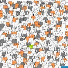 diagnose sparrow navigation لغز اين الارنب gite pantxoa com