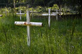 Deadly Secrets: The Lost Children Of Dozier - Production & Contact Info |  Imdbpro