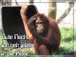 ‬dieser tag fing nicht gut an und gebrauchsanweisungen sind auch nur gut,‭ ‬wenn man sie befolgt.‭ ‬das beste an diesem morgen war,‭ ‬dass ich einen zweitbecher und diverse putzlappen besitze. Coolphotos De Grusskarten Gute Nacht Lustig