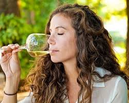 THE 15 BEST Stellenbosch City Tours (with Prices)