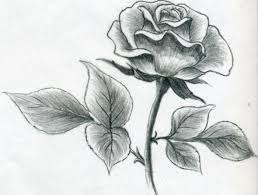 Bilder zeichnen leicht die besten 25 zeichnen leicht ideen auf. Zeichnen Lernen Mit Bleistift Selbst Kunst Schaffen Zeichnen Lernen Mit Bleistift Blumenzeichnung Rosen Zeichnen