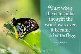 Maybe you would like to learn more about one of these? Caterpillar Thought The World Was Over Flower Quote Floating Petals