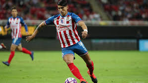 Alan pulido izaguirre date of birth: Report Sporting Kc Shells Out 9 5m To Acquire Alan Pulido Kansas City Business Journal