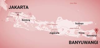 Pilihannya mulai dari damri, sinar jaya, sampai primajasa. Naik Kereta Dari Jakarta Menuju Banyuwangi Dan Sebaliknya Jejak Langkah Si Prince