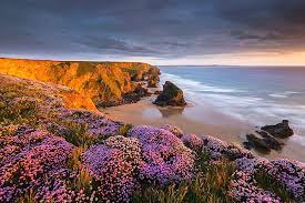 Rock Flower 1080p 2k 4k 5k Hd Wallpapers Free Download Wallpaper Flare