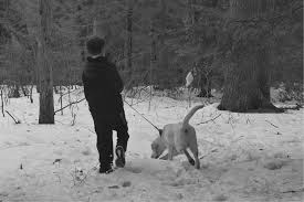 As double oak mountain animal hospital continues to grow, we are looking to add a few more motivated, professional individuals to our team! Ecological Dimensions Of Towns Part Ii Towns Ecology And The Land