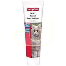kedi vitaminleri panosundaki pin