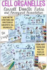 Analogy for animal cell organelles. Animal And Plant Cell Organelles Structure And Function Visual Cornell Doodle Notes Using Cell City Analogies Science Cells Biology Classroom Teaching Biology