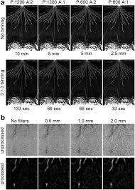 Actual scan time usually less than 30 seconds. High Throughput Three Dimensional Visualization Of Root System Architecture Of Rice Using X Ray Computed Tomography Plant Methods Full Text