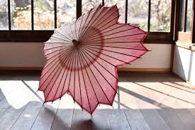 Традиционный японский зонт