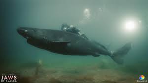 Extinct or Alive: Jaws of Alaska is one of the two absolutely amazing  @sharkweek shows that I have airing this year. On Friday July 16th  exclusively on @discoveryplus Take a dive beneath