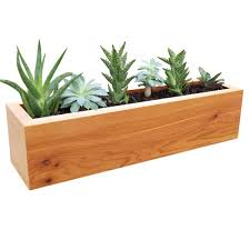 Gronomics 4 In X 4 In X 16 In Succulent Planter Wood Rectangular Sp Rec The Home Depot Rectangular Planters Wood Succulent Planter Succulent Planters Box