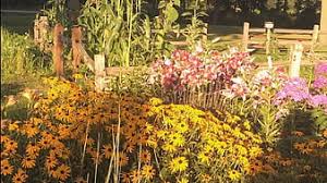 Scandinavian designers have contributed some of the most iconic modern furniture and lighting designs of the last century. Garden With Small Flowers Cottagecore Hd Wallpaper Peakpx