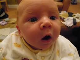 Scarlett Fowler's Instagram, Twitter & Facebook