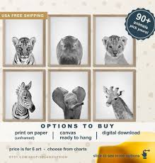 Black And White Safari Animal Prints Baby Animal Prints For Nursery Black And White Safari Animal Print Set Safari Baby Animals Wall Art Safari Nursery Decor Jungle Animals Baby Animals Safari Animals Safari Nursery