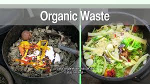 Waste management is one of the ecocampus management strategies. Organic Waste Management In Penang Malaysia Youtube