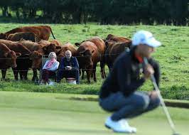 Official account for the 2021 irish poker final day of a very successful irish open on partypoker! Holy Cow It S A Different Kind Of Moo Ving Day In The Irish Open