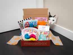 Check out our cat window box selection for the very best in unique or custom, handmade pieces from our pet furniture shops. 18 Best Cat Toys And Supplies 2021 Scratchers Window Perches Etc Wired