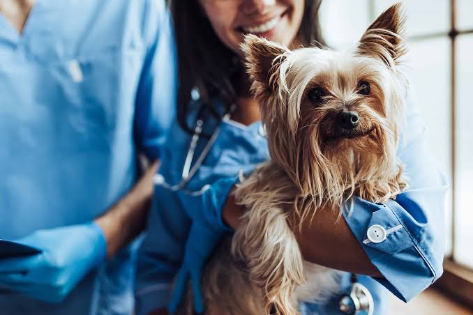 What Are The Methods Of Disease Prevention And Control In Animals?