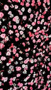 Background Pink Wallpaper Iphone Pink Flowers Wallpaper Flower Background Iphone