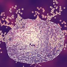 Image result for Histamine