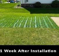 Grass Driveway Grid