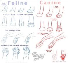 #cats #cat people #the room where it happens #hamilton #cat person #the sequel. Cat Dog Drawing Art Wolf Cats Draw Feline Vs Felines Anatomy Wolves Dogs Big Cat Big Cats Reference Compare C Cat And Dog Drawing Paw Drawing Animal Drawings