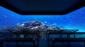 DMM Kariyushi水族馆翻新3个展区推出全新影像及声光体验｜新闻发布｜DMM Kariyushi水族馆