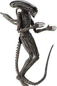 After the first queen mother was killed during the. Amazon Com Neca Alien Covenant 7 Scale Action Figure Xenomorph Action Figure Toys Games