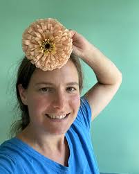 Pyo flower farm in Sterling, CT