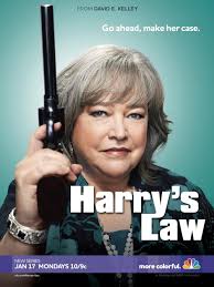 Harry's Law (TV Series 2011–2012)