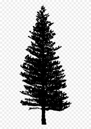 free png pine tree silhouette png pine tree silhouette png pines clipart 35652 pikpng pine tree silhouette png pines clipart