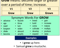 Regular Verbs List V1 V2 V3 English Grammar Here