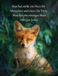 Als er starb, ließ ihn seine herrin in einen sarg legen, und gemeinsam mit ihrer dienerschaft beerdigte sie ihn feierlich. Pin Von Silke Auf Tiere Spruche Tiere Mein Leben Zitate Inspirierende Spruche