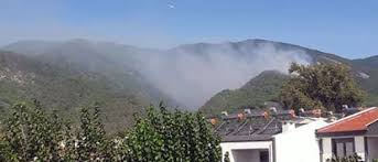 Jun 17, 2021 · güney kıbrıs rum yönetimi'nde (gkry) dün çıkan ve bu sabah söndürülen orman yangınında 300 hektarlık alan zarar gördü. J3hppdyi8kfdkm