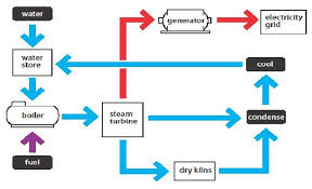 Cogeneration 101 Seneca Sustainable Energy