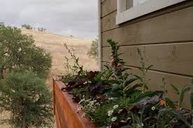 Check spelling or type a new query. 10 Drought Tolerant Plants For The Central Coast Landscaping Blog