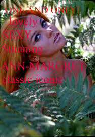Outstanding Ann Margret portrait.