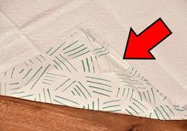 Buy puppy training pads and get the best deals at the lowest prices on ebay! 6 Best Leak Proof Dog Pee Pads 50 Tested