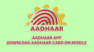 If you are downloading with the former then verify name spelling . E Aadhaar Download Aadhaar Card On Your Mobile With Aadhaarapp Techrounder