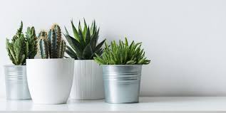 Check spelling or type a new query. 10 Best Artificial Plants 2021 Best Places To Buy Fake Or Faux Plants