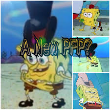 We would like to show you a description here but the site won't allow us. A New Pfp Spongebob Squarepants Amino