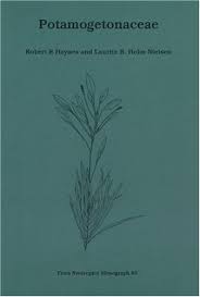 Image result for Potamogetonaceae