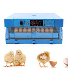 Amazon Com Incubadora De Huevos Avanzada 110 V 12 V Color Azul Incubadora Automatica Inteligente Para El Hogar Mini Incubadora De Huevos De Pollo Para Incubar Pollos Patos Gansos Palomas Y Codorniz Industrial