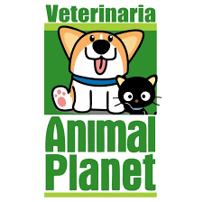 Animal Planet Hvp