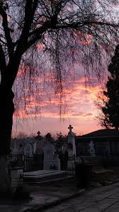 Maybe you would like to learn more about one of these? Romania Dating Explore Tumblr Posts And Blogs Tumgir
